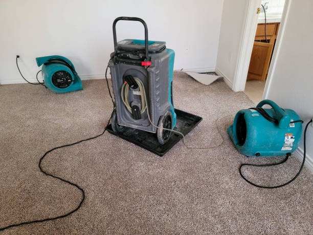 Best Water damage contractors near me  in Chattanoo Valley, GA