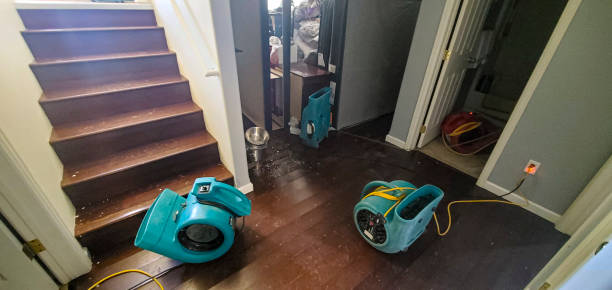 Best Residential water damage restoration  in Chattanoo Valley, GA
