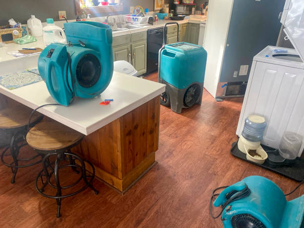 Best Water damage restoration near me  in Chattanoo Valley, GA