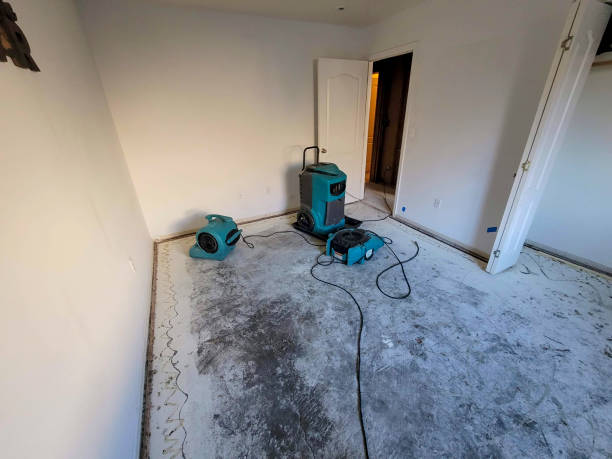 Best Basement water damage restoration  in Chattanoo Valley, GA