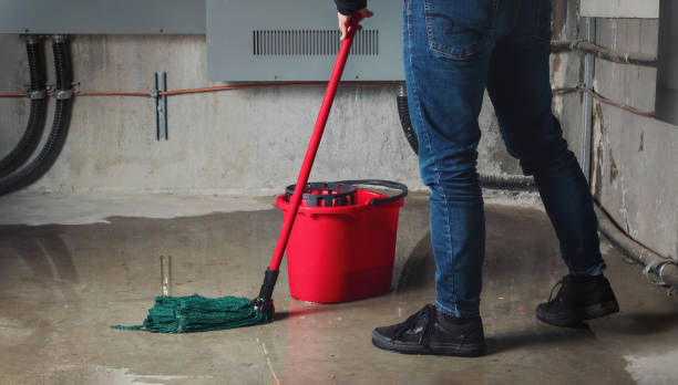 Best Flood restoration services  in Chattanoo Valley, GA