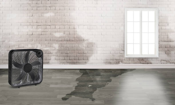  Chattanoo Valley, GA Water damage restoration Pros