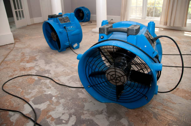 Best Sewage cleanup and water damage restoration  in Chattanoo Valley, GA