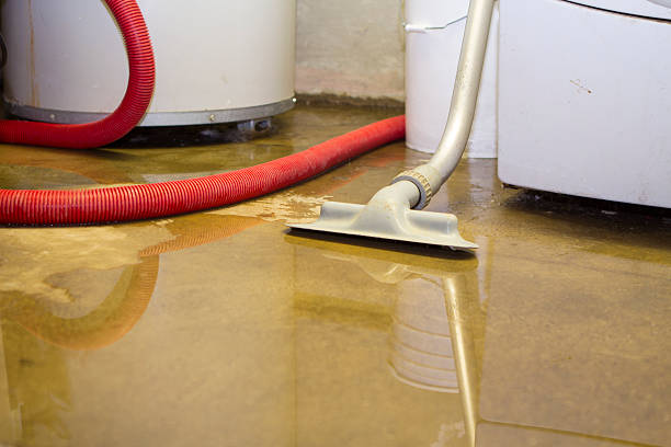 Best Ceiling water damage repair  in Chattanoo Valley, GA